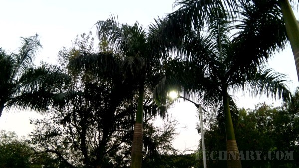 Getting Exam Ready with Asus ZenPad 7.0