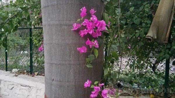 Getting Exam Ready with Asus ZenPad 7.0