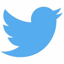 Twitter appoints new board members - Hugh Johnston & Martha Lane Fox