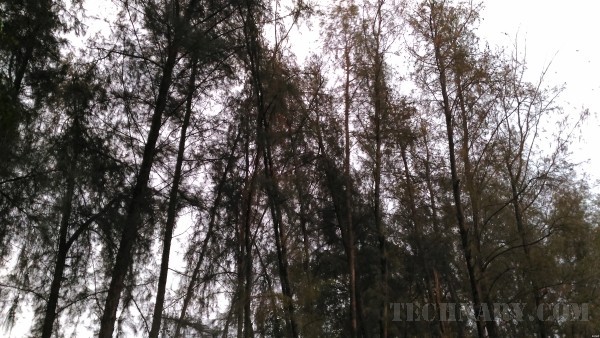 Asus Zenfone Max Review