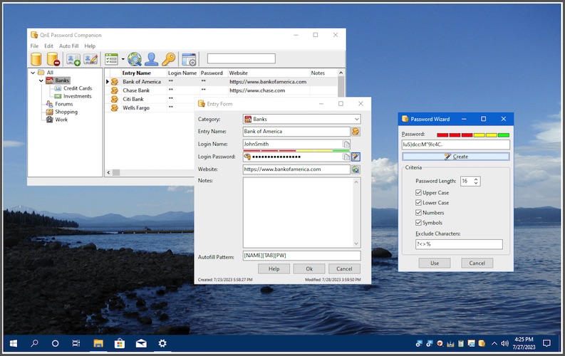 QnE Companion Review